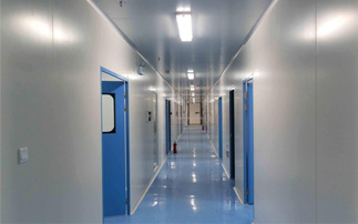 鋼制單開凈化門